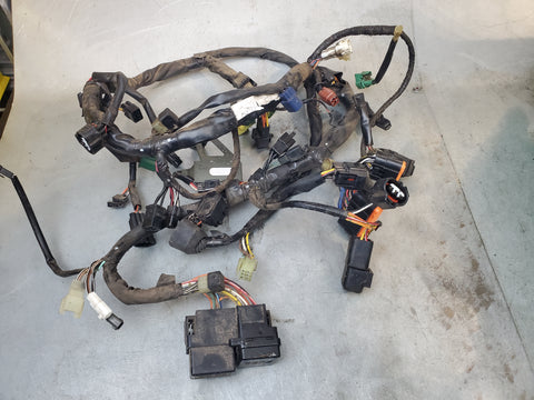 wiring harness sv1000 05+