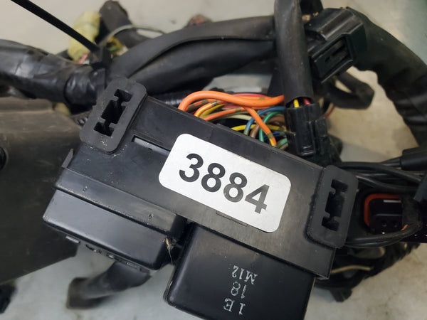 wiring harness 2g sv650 N model 03-04